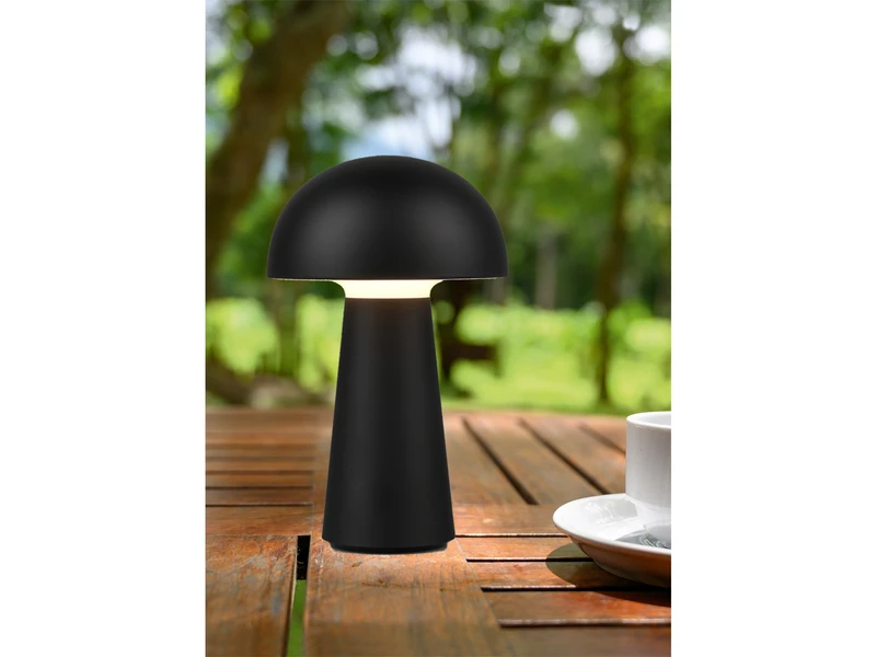Reality Leuchten Akku Tischleuchte LENNON Ohne Kabel Per USB Ladbar & Dimmbar, Schwarz, H. 21cm – Bild 9