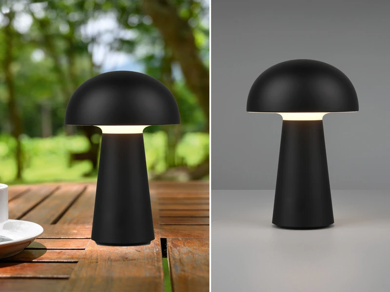 Reality Leuchten Akku Tischleuchte LENNON Ohne Kabel Per USB Ladbar & Dimmbar, Schwarz, H. 21cm