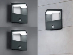 Trio Leuchten LED AuĂźenwandleuchte Mit Bewegungsmelder Anthrazit - 2er SET FĂĽr Hausbeleuchtung