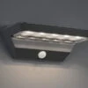 Reality Leuchten LED Solar Wandleuchte Außenleuchte MENDOZA Mit Bewegungsmelder Anthrazit