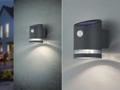 Reality Leuchten LED Solar Wandleuchte Außenleuchte SALTA Mit Bewegungsmelder Anthrazit