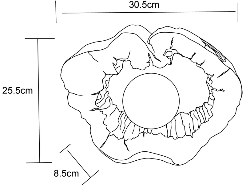Globo LED Solarleuchte In Holzfarben Mit Globe Höhe 25,5cm â Bild 3
