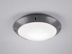 Reality Leuchten Runde Außendeckenleuchte Wandlampe CAMARO In Anthrazit - 26 Cm