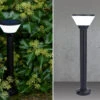 Lutec Solar LED Wegeleuchte KARLO 45cm, Bewegungsmelder & RGB Farbwechsel