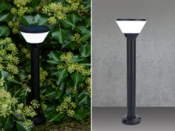 Lutec Solar LED Wegeleuchte KARLO 45cm, Bewegungsmelder & RGB Farbwechsel